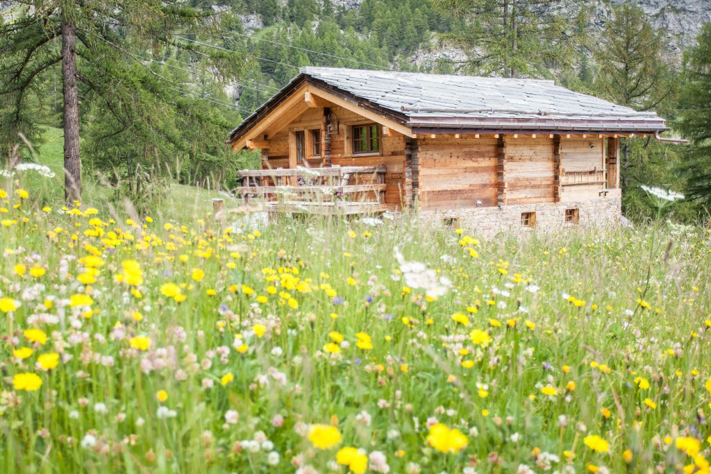 Exterior view of Mountain Chalet 4 You in the summer meadow